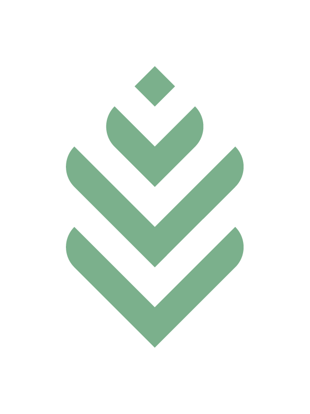 Eikefjord.AI Logo